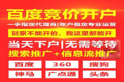 百度SEO推广策略深度解读：某企业网络营销的胜利之路